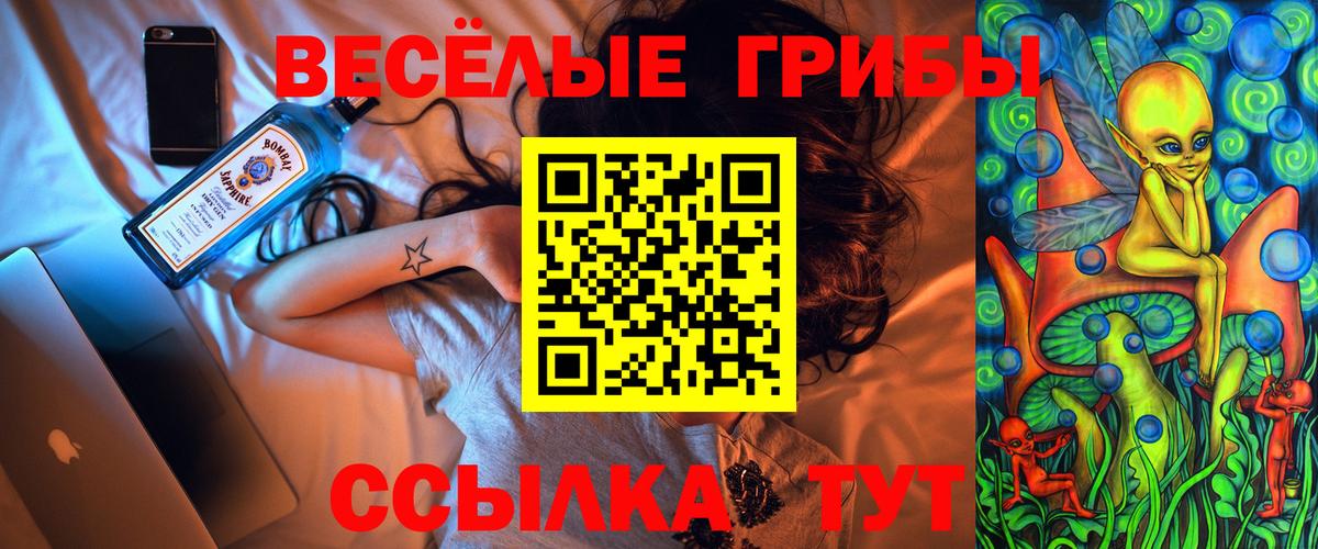 Зима  Псилоцибиновые грибы GOLDEN TEACHER  Вход с VPN 